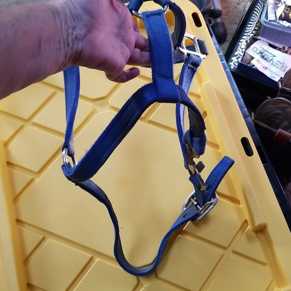 🐴ADJUSTABLE HORSE HALTER - Picture 7 of 8